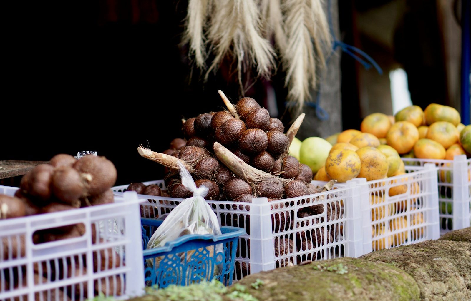 a basket of fruit