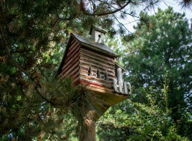 a bird house in the middle of a pine tree