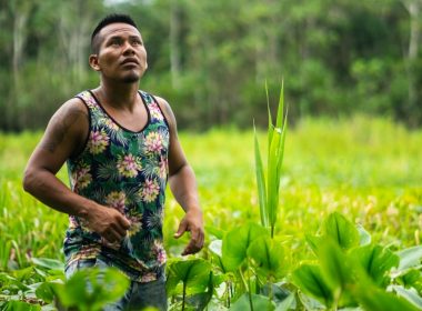 man standing between green plants