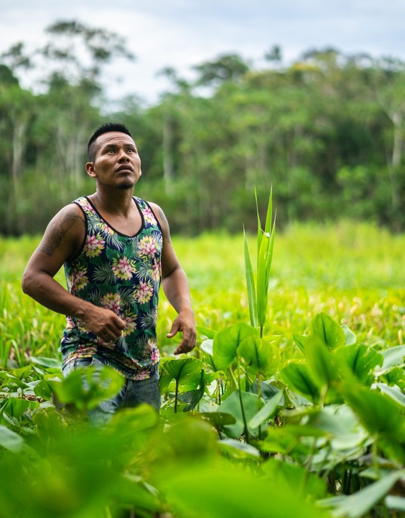man standing between green plants