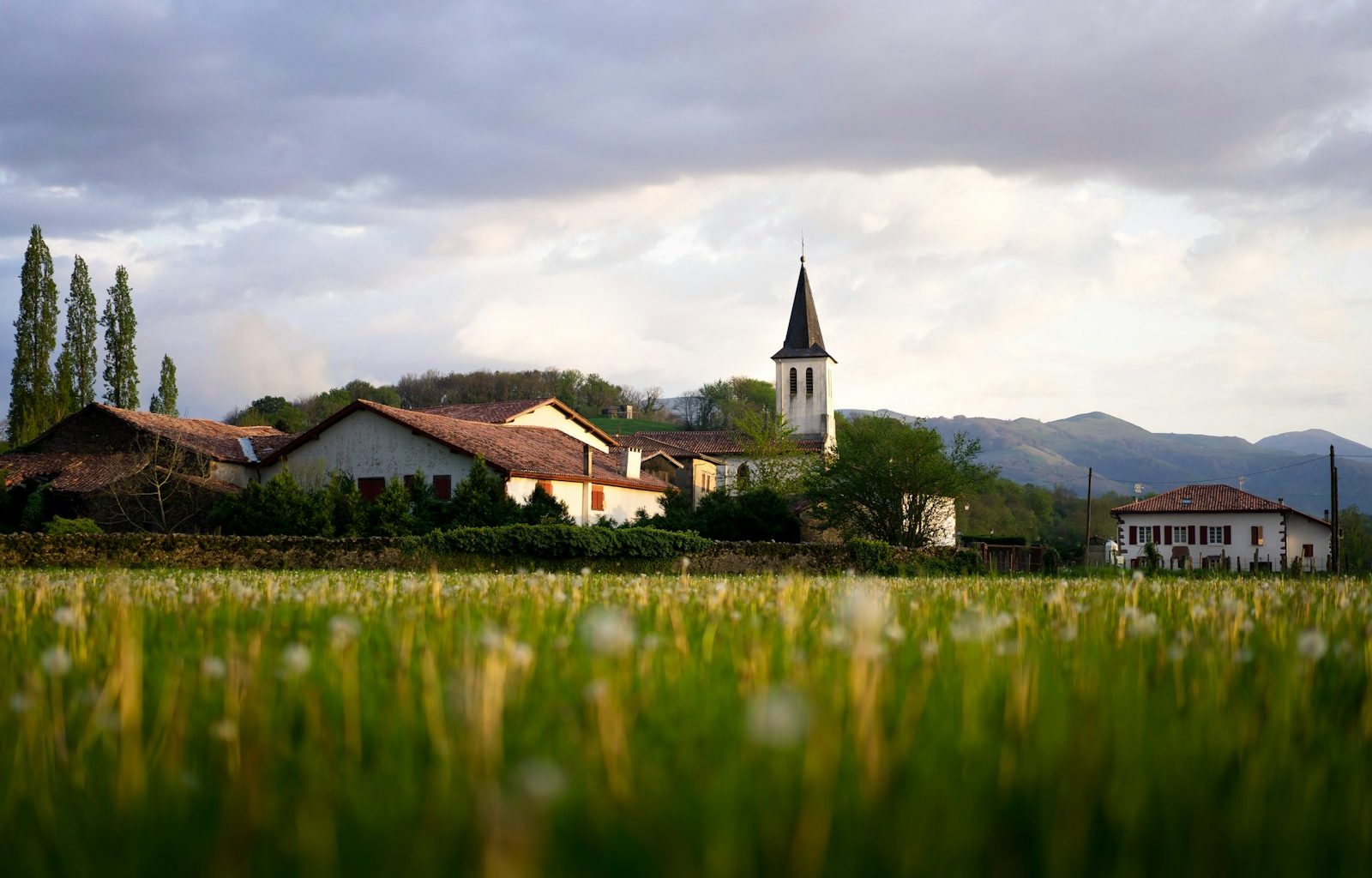 green grass field and houses during daytime