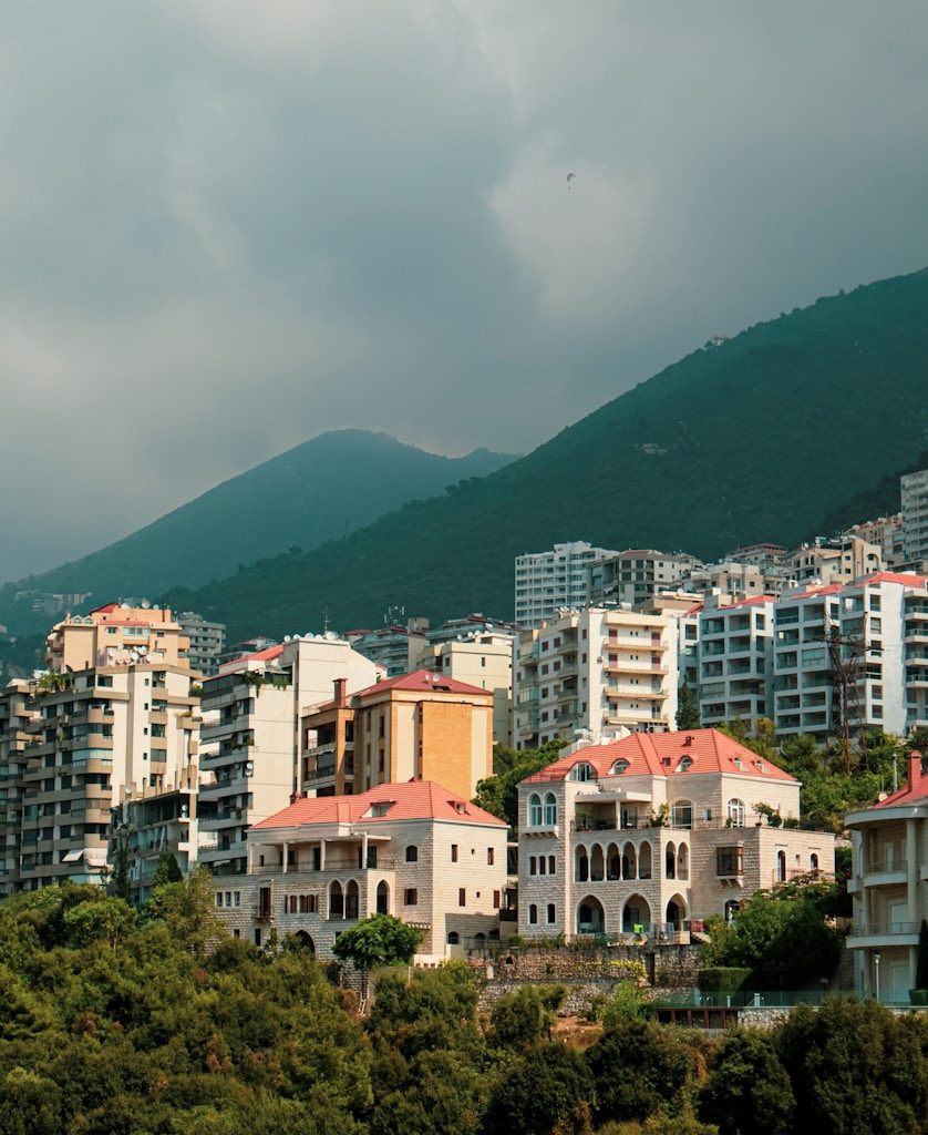 a view of a city with mountains in the background