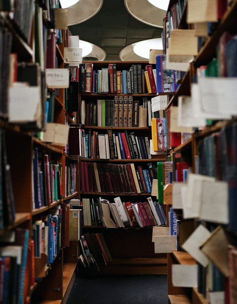 books on brown wooden shelf