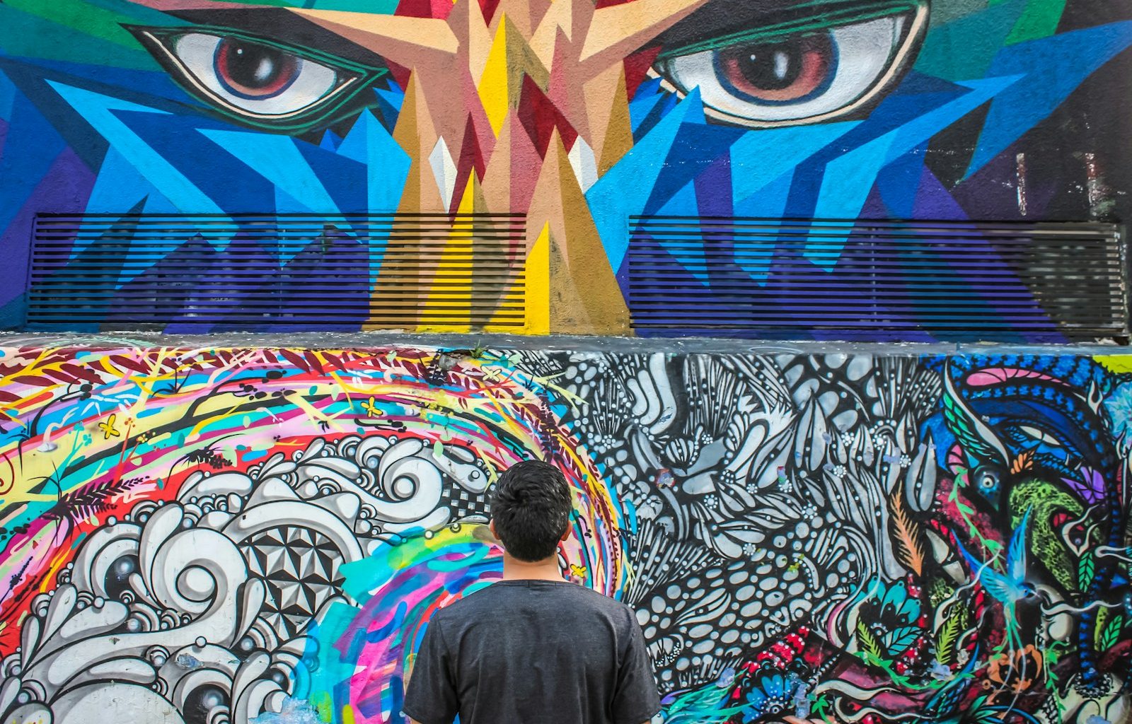 photography of man seeing doddle wall art