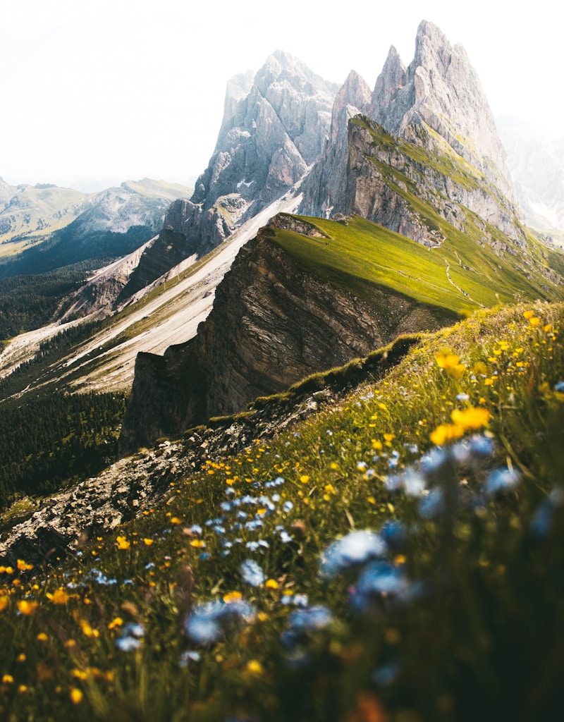 green grass and gray rocky mountain during daytime