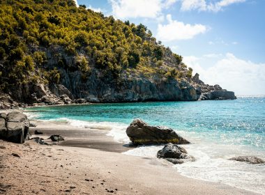 people on beach during daytime