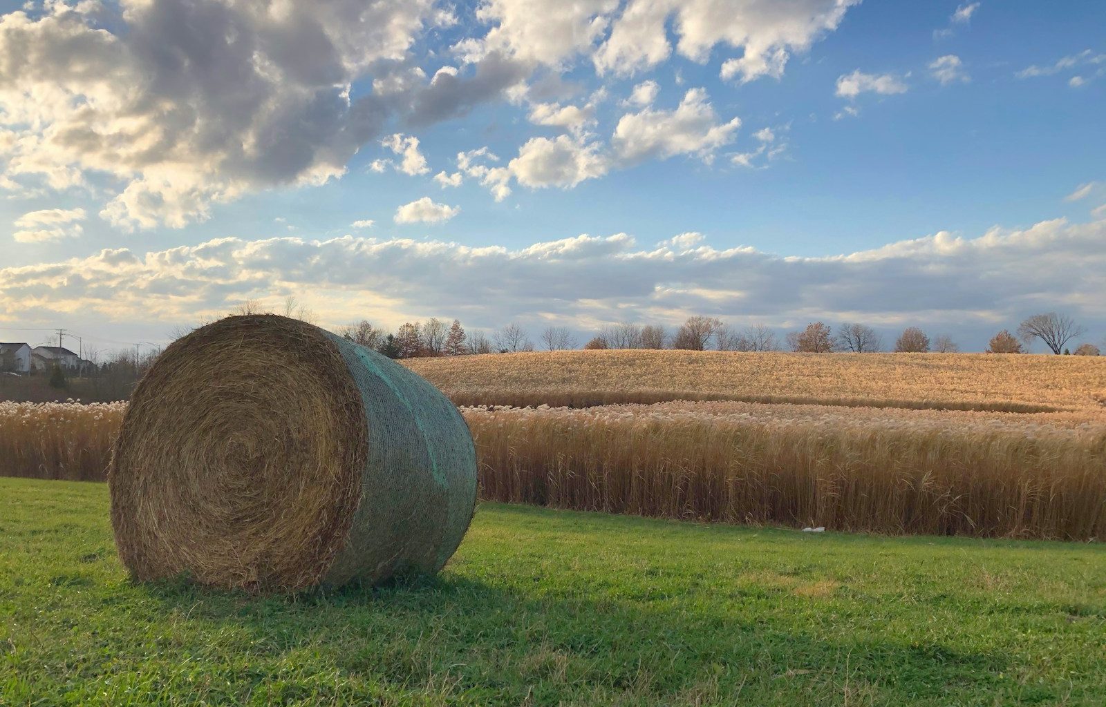 a large round hay bale sitting in a field
