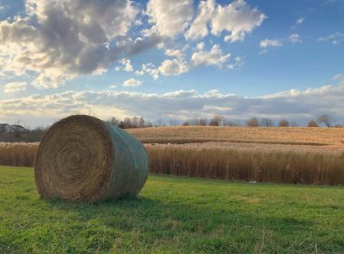 a large round hay bale sitting in a field