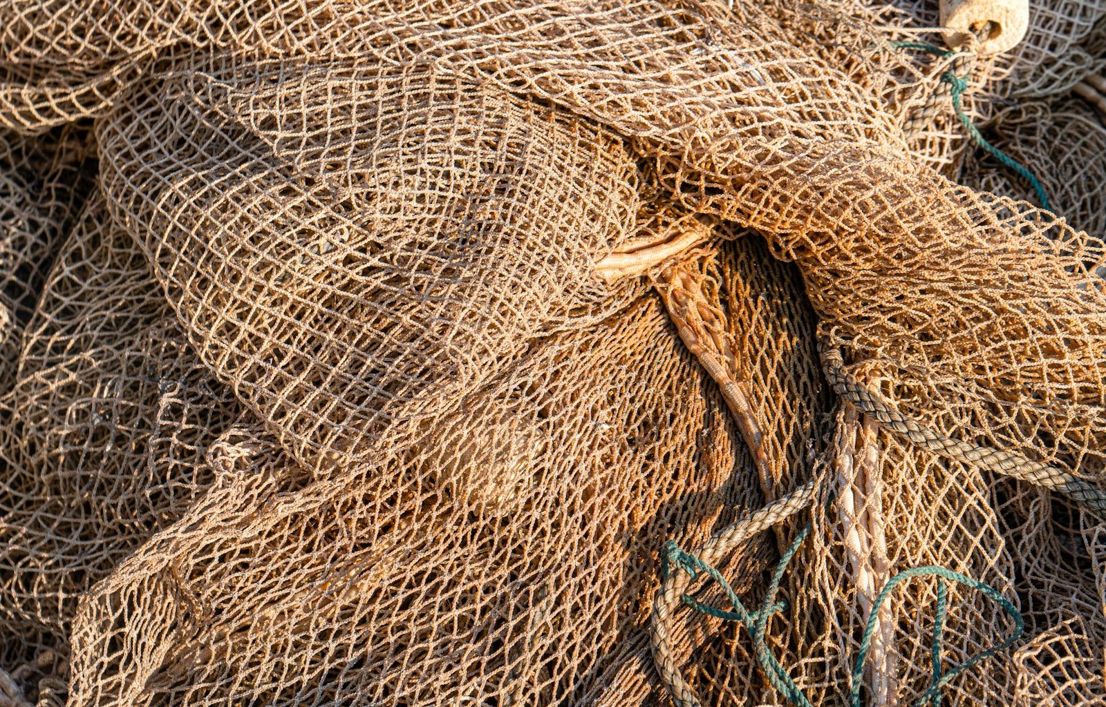 brown and blue net on gray concrete floor