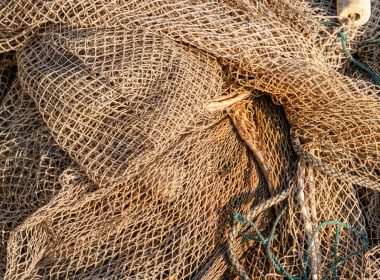 brown and blue net on gray concrete floor