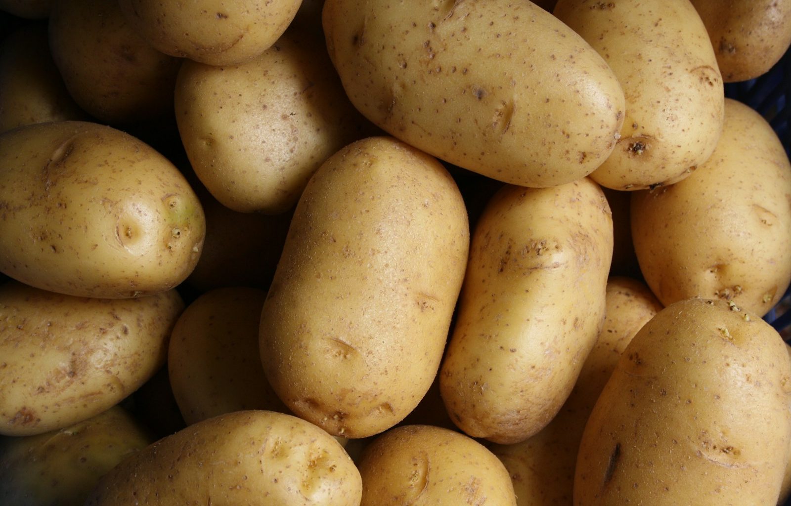 brown potato lot