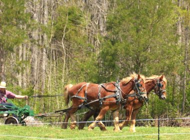 Horses pull a cart across a grassy field.