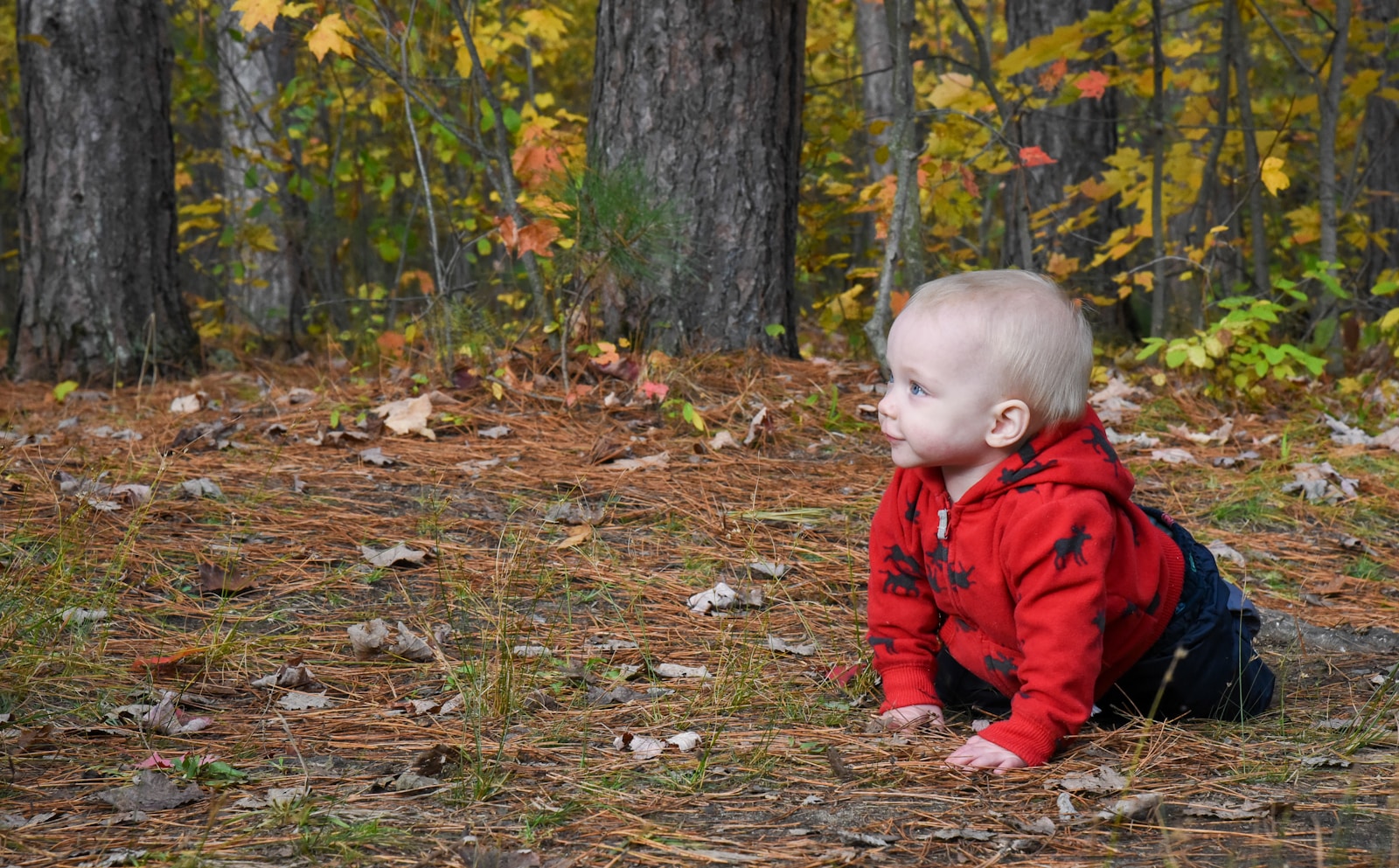 a baby sitting on the ground in the woods