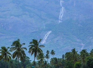 green grass field with green trees and mountain in distance