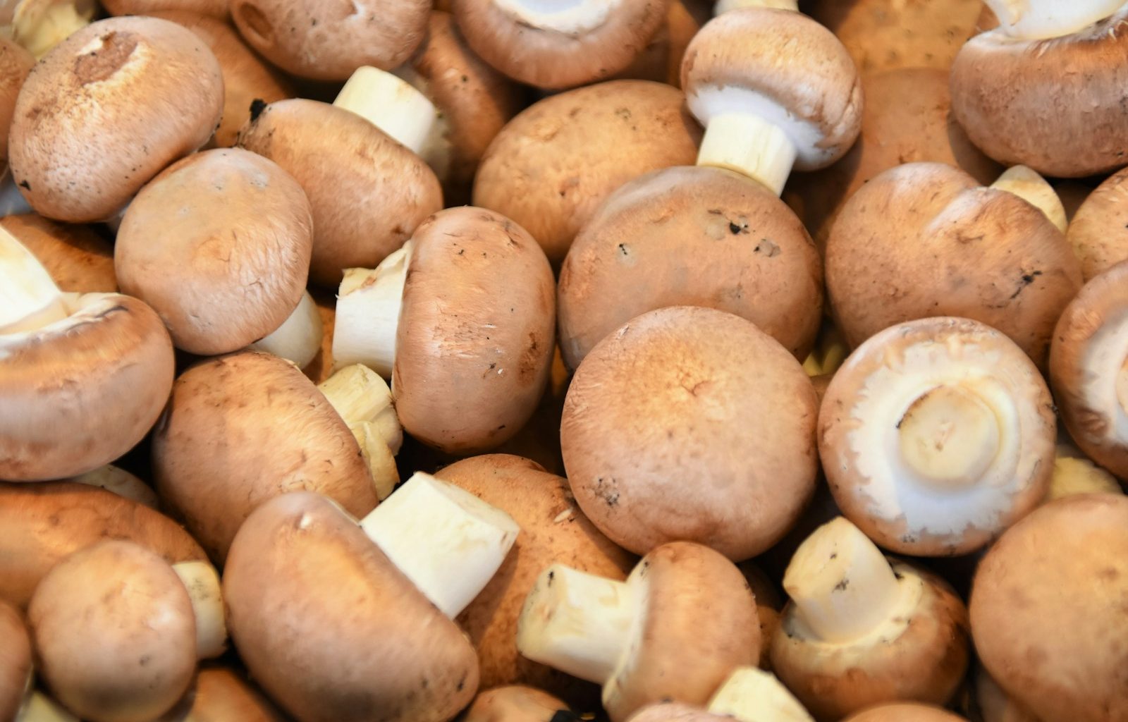 brown mushrooms