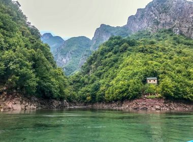 green trees near body of water during daytime