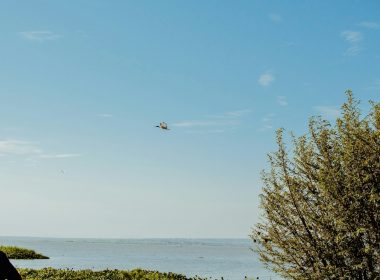 A helicopter flies over water under a clear sky.