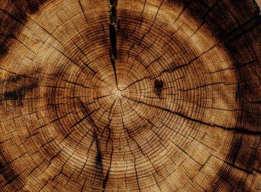 photo of brown wood slab