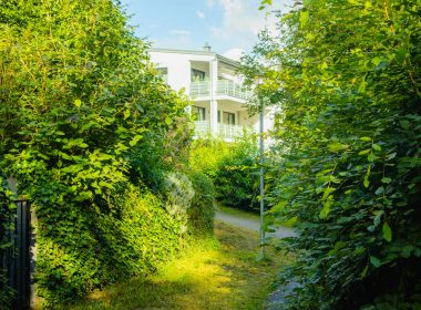 A path through a lush green forest next to a white building