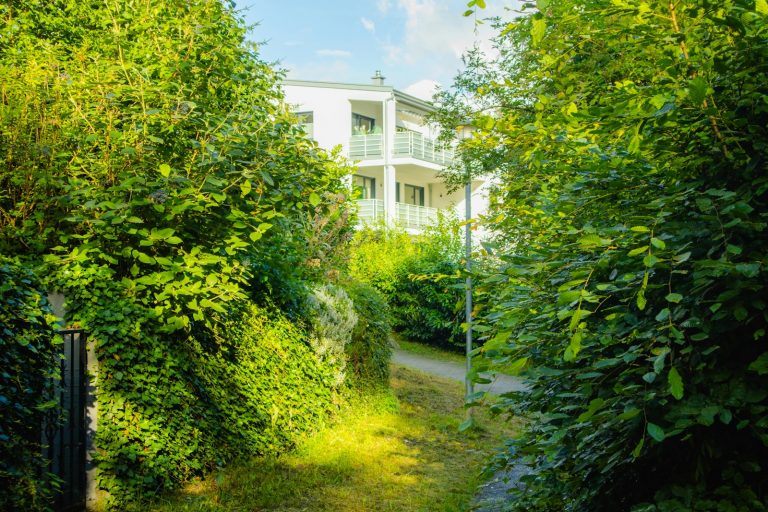 A path through a lush green forest next to a white building