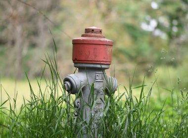 red and gray fire hydrant on green grass field during daytime