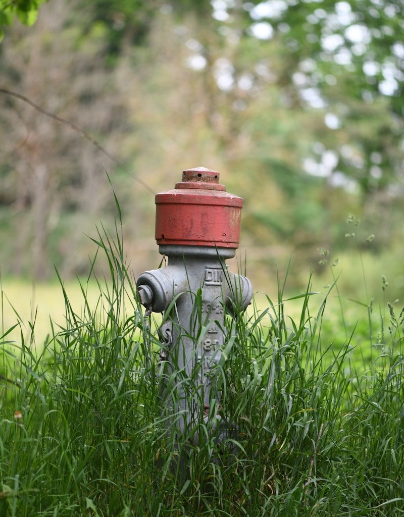 red and gray fire hydrant on green grass field during daytime