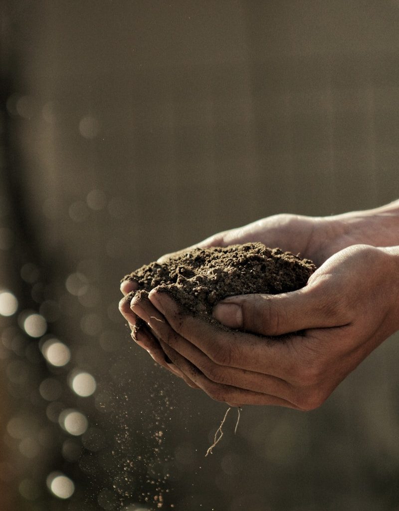 bokeh photography of person carrying soil