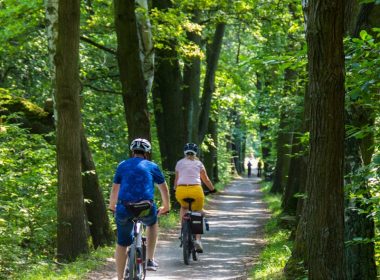 people riding bicycle on road between green trees during daytime