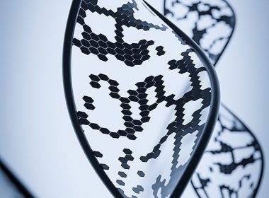 a close up of a metal structure with a pattern on it