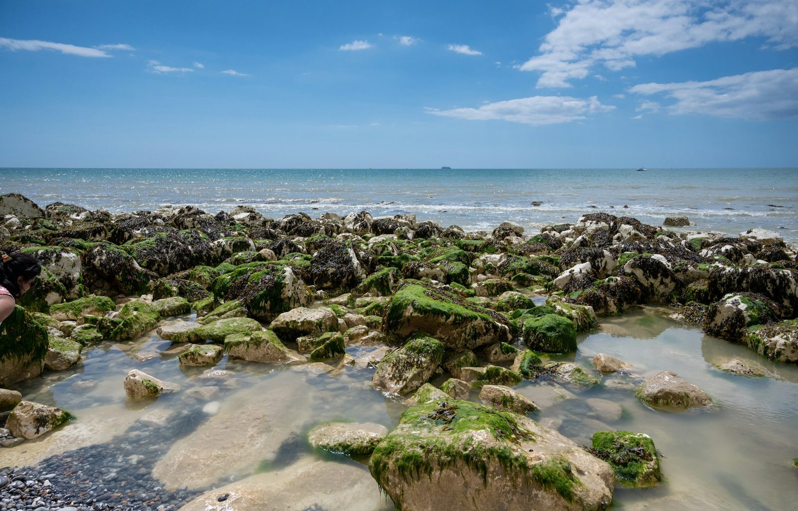 a person taking a picture of a rocky beach