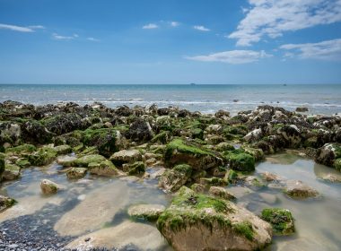 a person taking a picture of a rocky beach