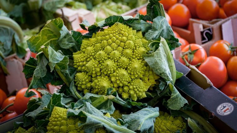 Fresh vegetables on display at a market.