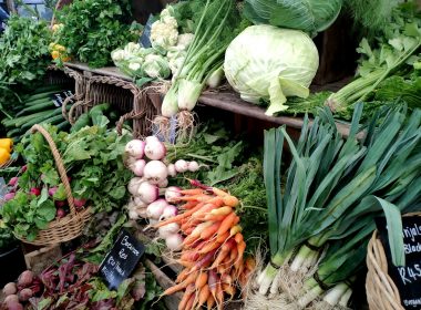 variety of vegetables