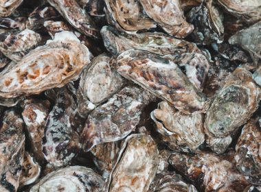 a pile of brown and white mushrooms