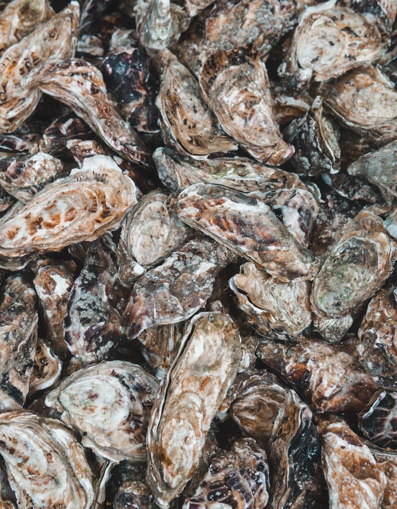 a pile of brown and white mushrooms