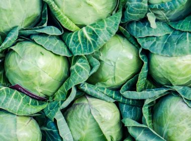 green leaves on brown soil