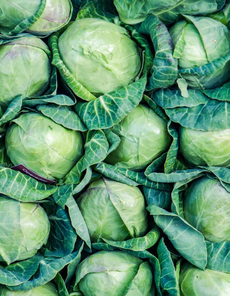 green leaves on brown soil