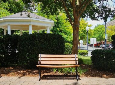brown wooden bench under green tree