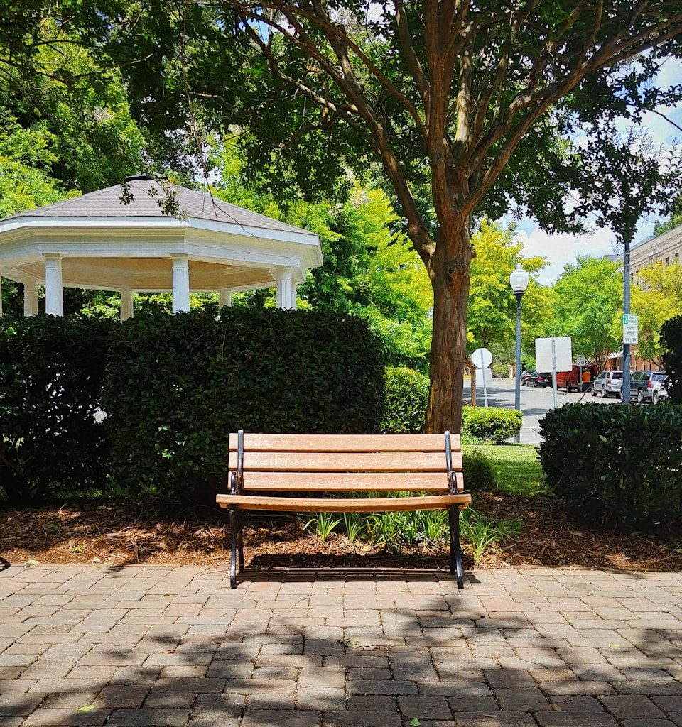 brown wooden bench under green tree