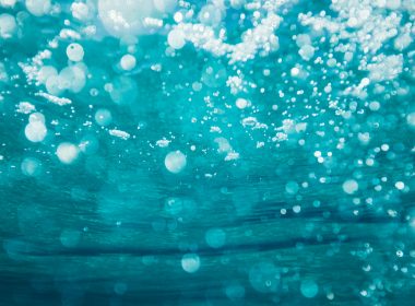 underwater photography of water bubbles