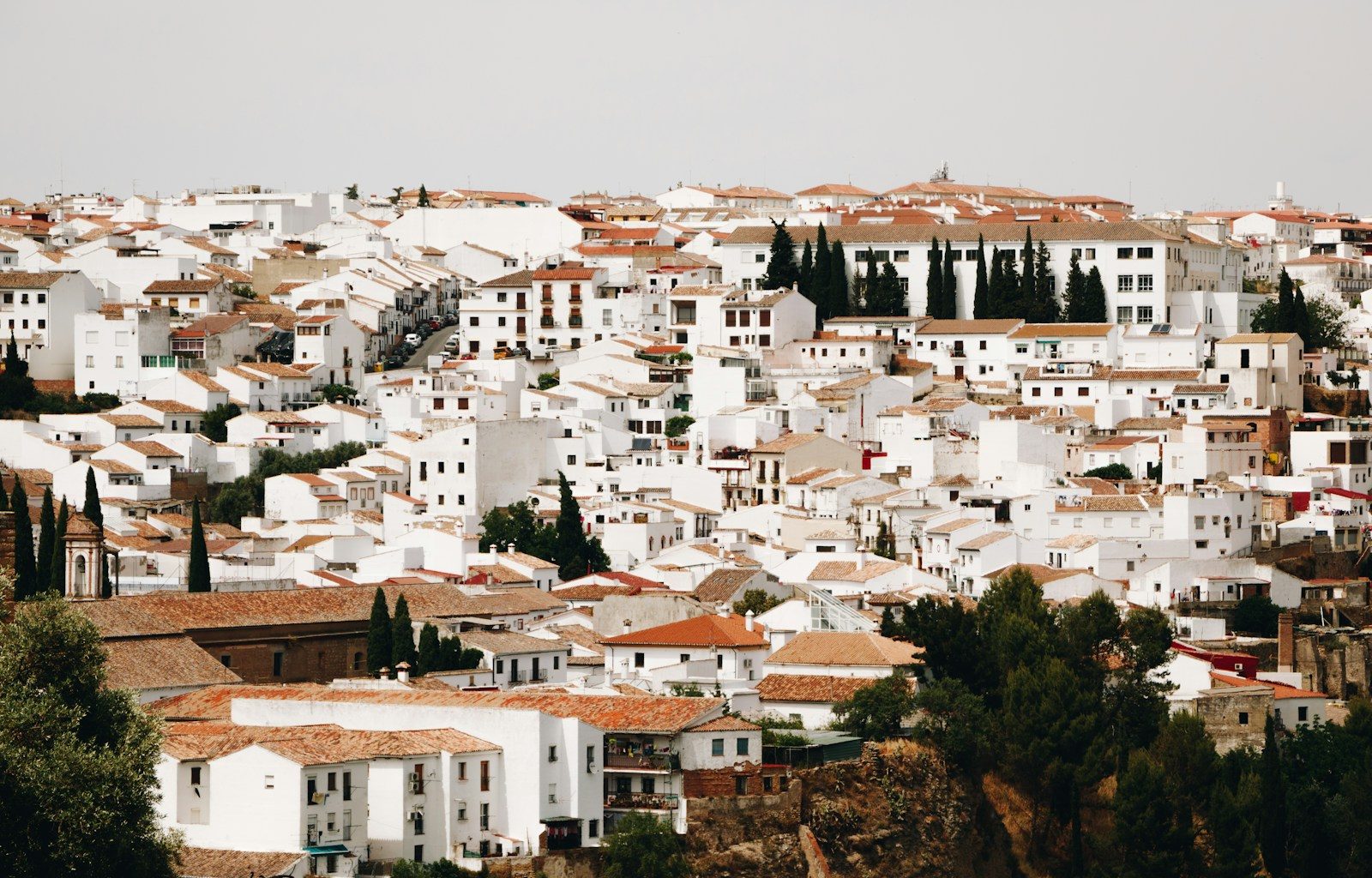 aerial photography of white and brown houses