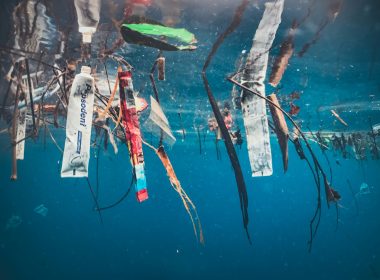 a group of items floating on top of a body of water