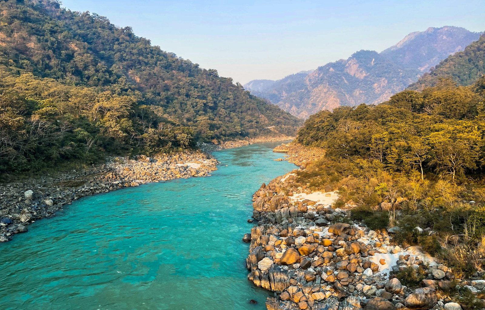 green river between green trees during daytime