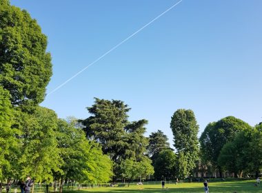 people walking on green grass field near green trees under blue sky during daytime