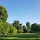 people walking on green grass field near green trees under blue sky during daytime