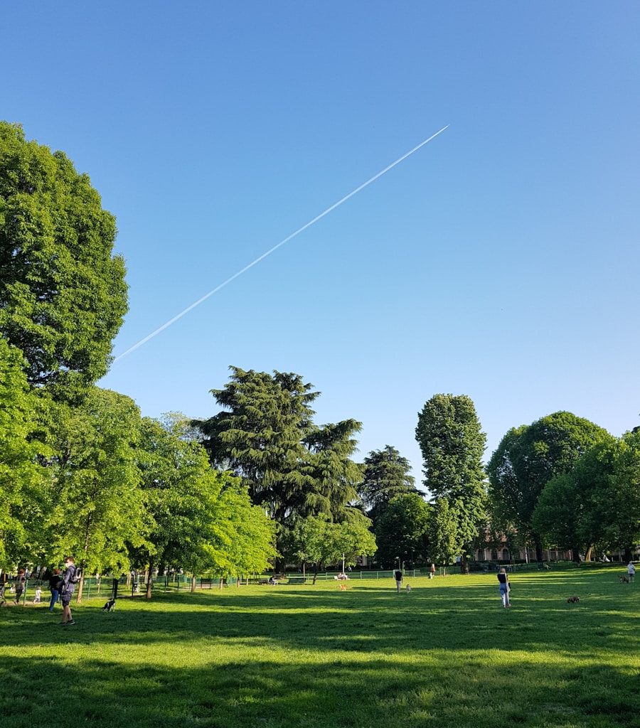 people walking on green grass field near green trees under blue sky during daytime