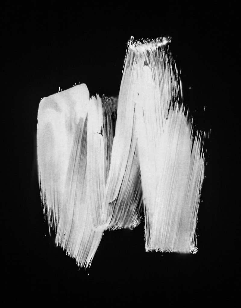 white and black abstract painting