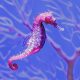 a sea horse is swimming in the water