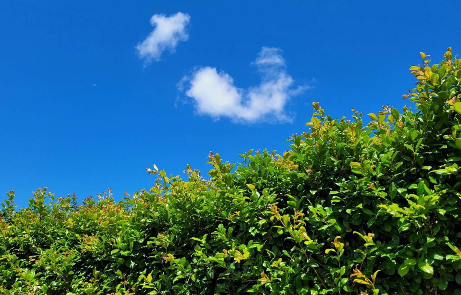 a blue sky with some clouds in the middle of it