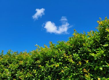 a blue sky with some clouds in the middle of it